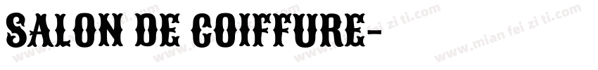 Salon de Coiffure字体转换